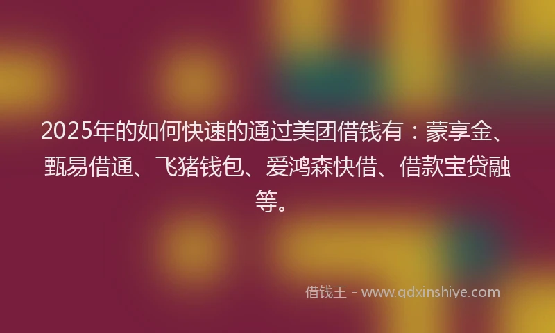 2025年的如何快速的通过美团借钱有：蒙享金、甄易借通、飞猪钱包、爱鸿森快借、借款宝贷融等。