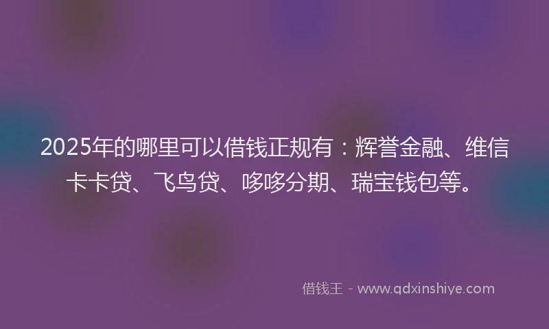 2025年的哪里可以借钱正规有：辉誉金融、维信卡卡贷、飞鸟贷、哆哆分期、瑞宝钱包等。
