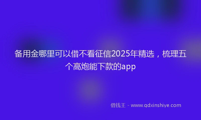 备用金哪里可以借不看征信2025年精选，梳理五个高炮能下款的app