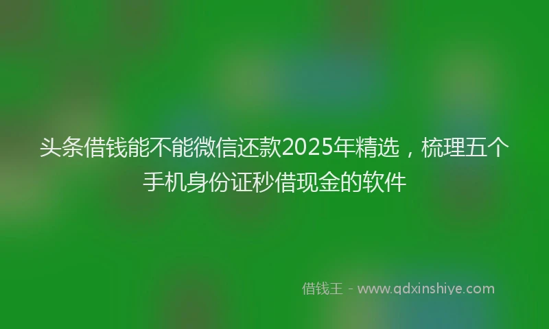 头条借钱能不能微信还款2025年精选，梳理五个手机身份证秒借现金的软件