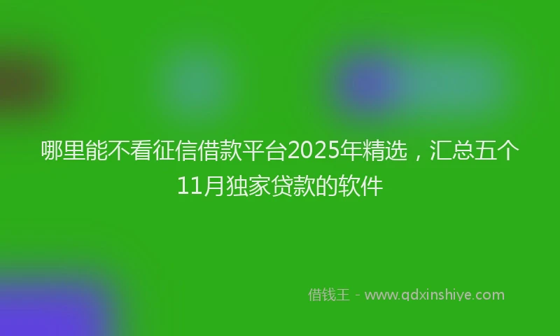 哪里能不看征信借款平台2025年精选，汇总五个11月独家贷款的软件