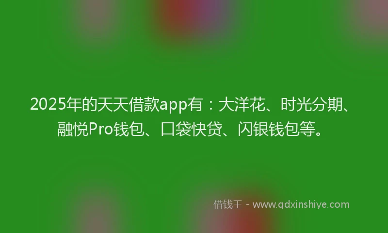 2025年的天天借款app有：大洋花、时光分期、融悦Pro钱包、口袋快贷、闪银钱包等。