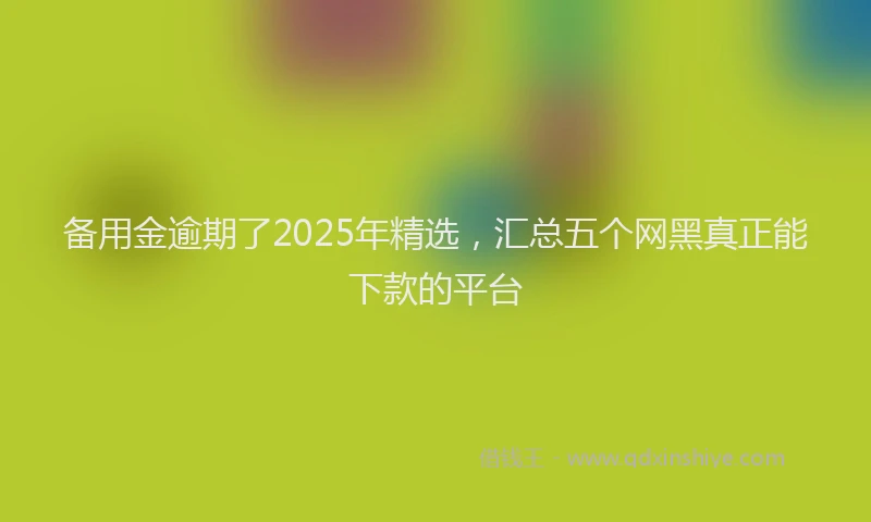 备用金逾期了2025年精选，汇总五个网黑真正能下款的平台