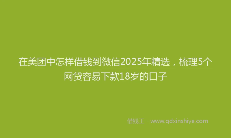 在美团中怎样借钱到微信2025年精选，梳理5个网贷容易下款18岁的口子