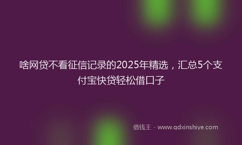 啥网贷不看征信记录的2025年精选，汇总5个支付宝快贷轻松借口子