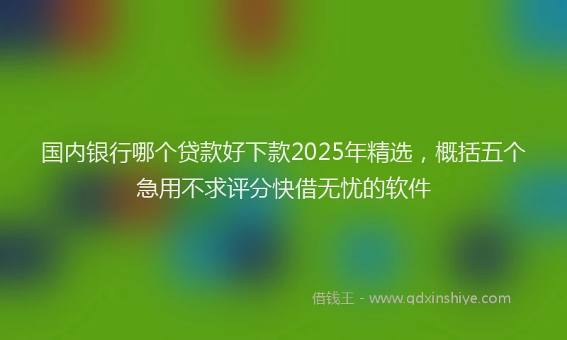 国内银行哪个贷款好下款2025年精选，概括五个急用不求评分快借无忧的软件