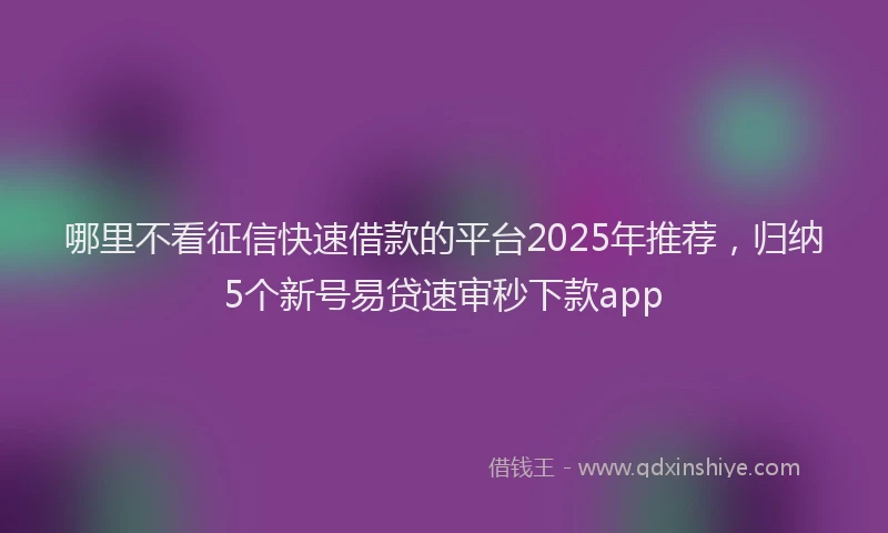 哪里不看征信快速借款的平台2025年推荐，归纳5个新号易贷速审秒下款app