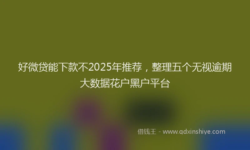 好微贷能下款不2025年推荐，整理五个无视逾期大数据花户黑户平台