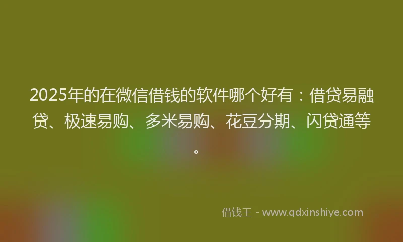 2025年的在微信借钱的软件哪个好有：借贷易融贷、极速易购、多米易购、花豆分期、闪贷通等。