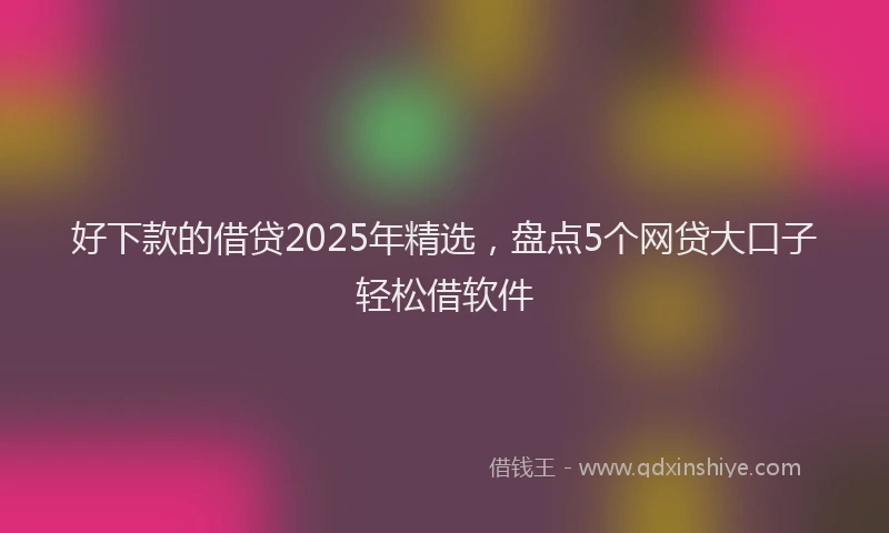 好下款的借贷2025年精选，盘点5个网贷大口子轻松借软件