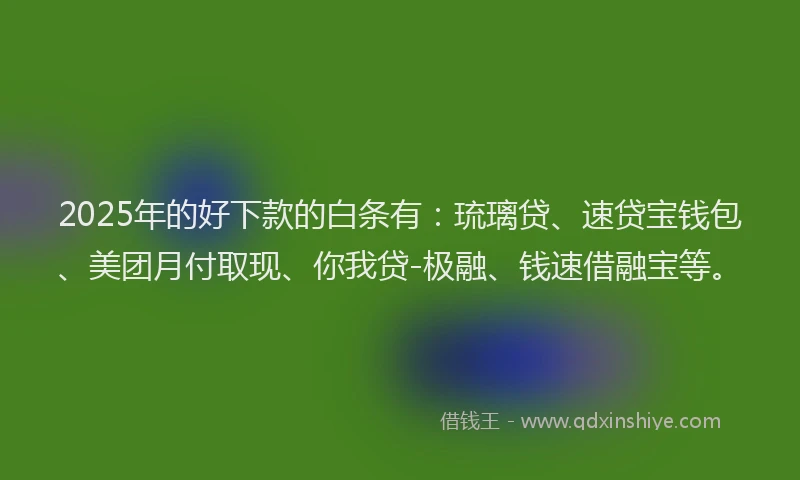 2025年的好下款的白条有：琉璃贷、速贷宝钱包、美团月付取现、你我贷-极融、钱速借融宝等。