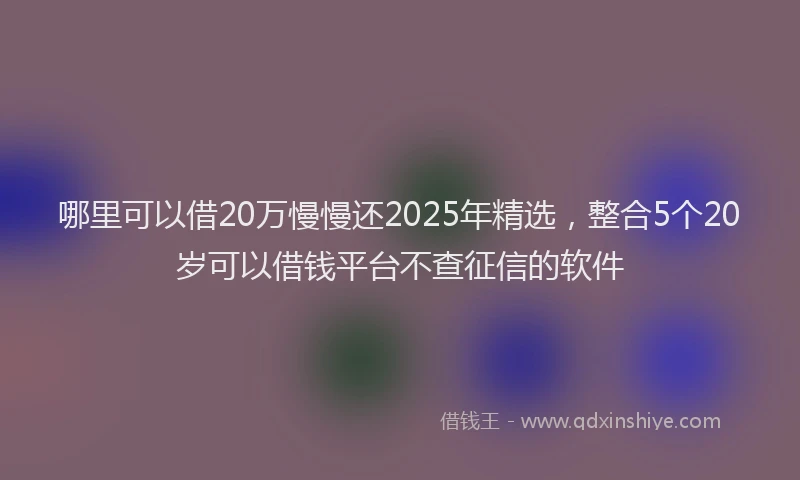哪里可以借20万慢慢还2025年精选，整合5个20岁可以借钱平台不查征信的软件