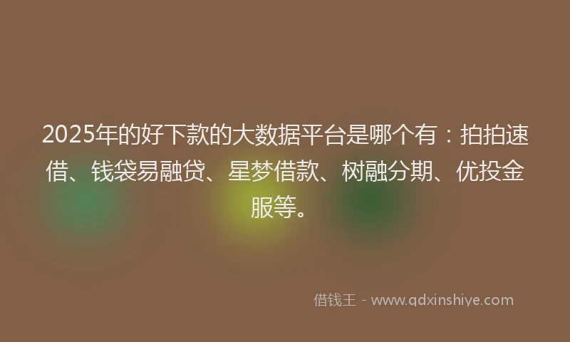 2025年的好下款的大数据平台是哪个有：拍拍速借、钱袋易融贷、星梦借款、树融分期、优投金服等。