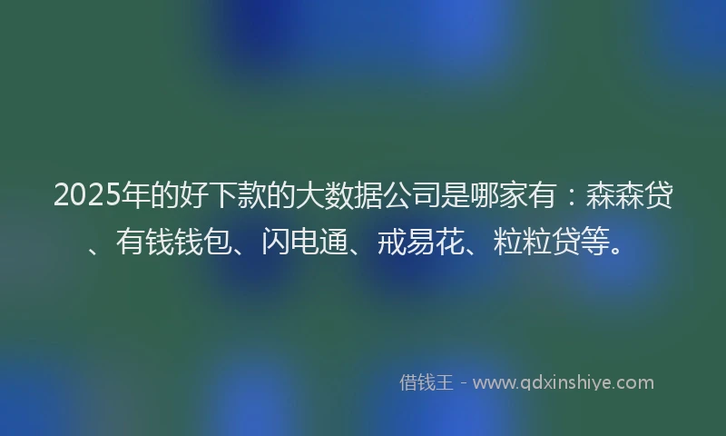 2025年的好下款的大数据公司是哪家有：森森贷、有钱钱包、闪电通、戒易花、粒粒贷等。