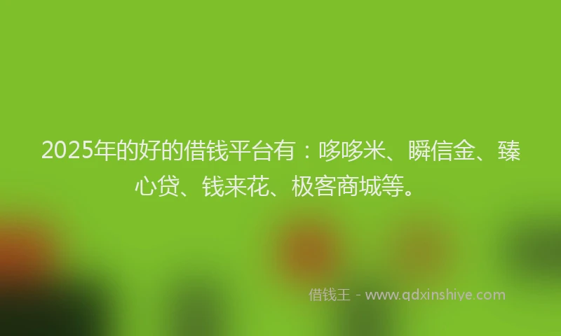 2025年的好的借钱平台有：哆哆米、瞬信金、臻心贷、钱来花、极客商城等。