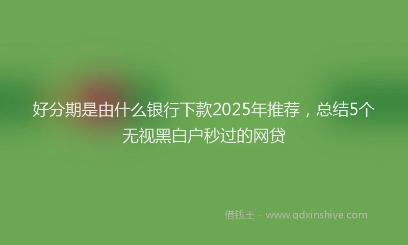 好分期是由什么银行下款2025年推荐，总结5个无视黑白户秒过的网贷