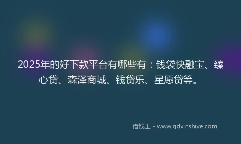 2025年的好下款平台有哪些有：钱袋快融宝、臻心贷、森泽商城、钱贷乐、星愿贷等。