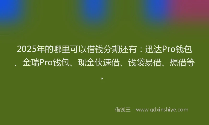2025年的哪里可以借钱分期还有：迅达Pro钱包、金瑞Pro钱包、现金侠速借、钱袋易借、想借等。