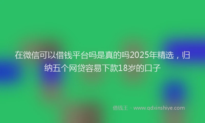 在微信可以借钱平台吗是真的吗2025年精选，归纳五个网贷容易下款18岁的口子