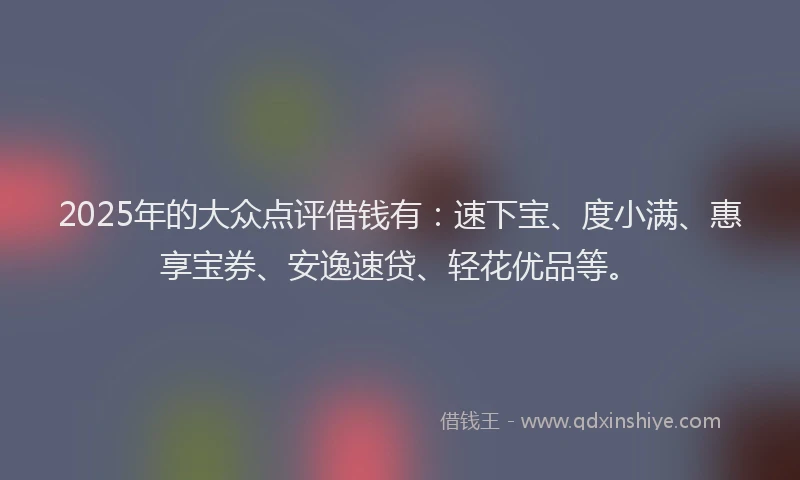 2025年的大众点评借钱有：速下宝、度小满、惠享宝券、安逸速贷、轻花优品等。