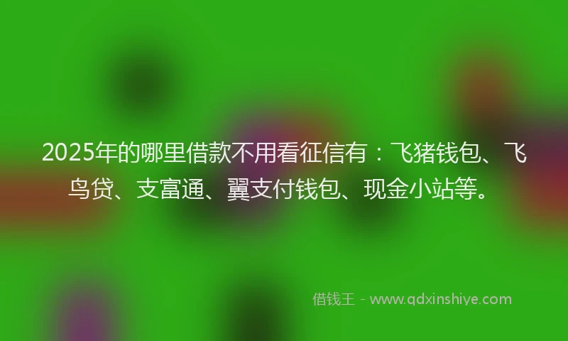 2025年的哪里借款不用看征信有：飞猪钱包、飞鸟贷、支富通、翼支付钱包、现金小站等。