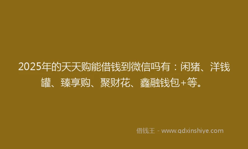 2025年的天天购能借钱到微信吗有：闲猪、洋钱罐、臻享购、聚财花、鑫融钱包+等。