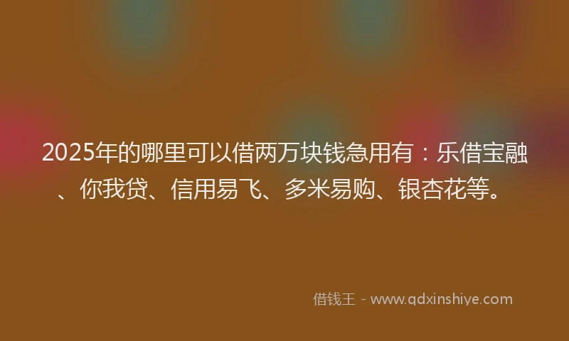 2025年的哪里可以借两万块钱急用有：乐借宝融、你我贷、信用易飞、多米易购、银杏花等。