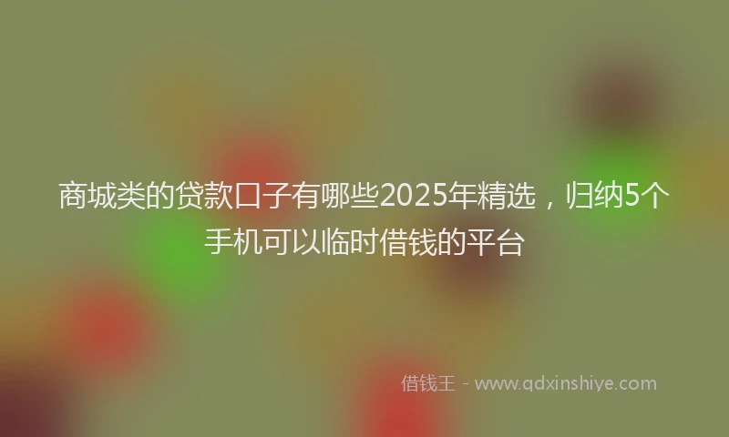 商城类的贷款口子有哪些2025年精选，归纳5个手机可以临时借钱的平台