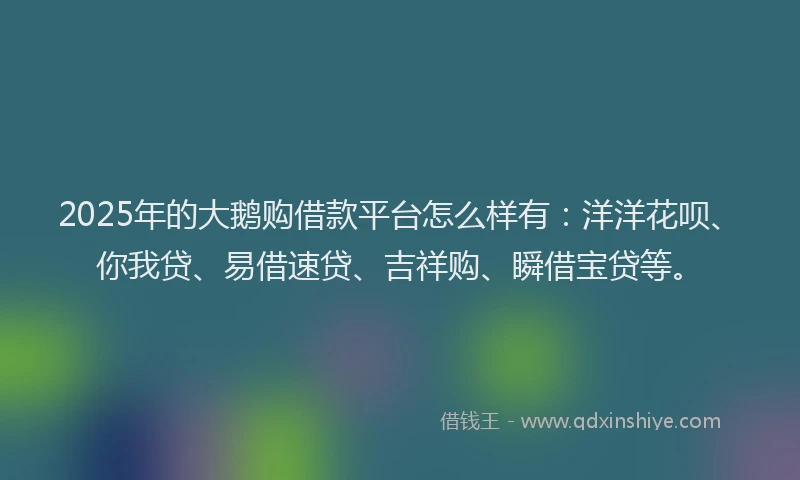2025年的大鹅购借款平台怎么样有：洋洋花呗、你我贷、易借速贷、吉祥购、瞬借宝贷等。