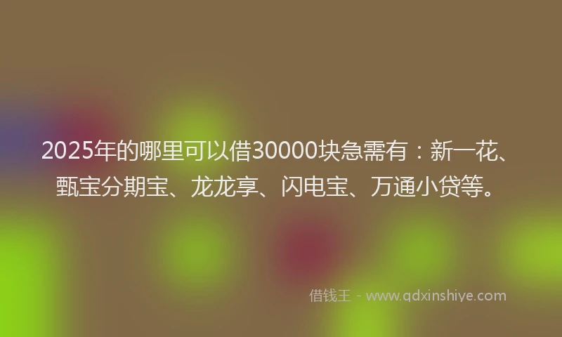 2025年的哪里可以借30000块急需有：新一花、甄宝分期宝、龙龙享、闪电宝、万通小贷等。