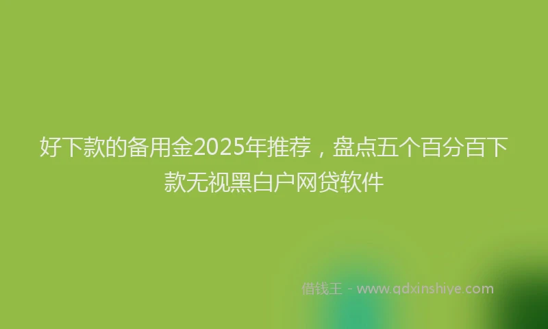 好下款的备用金2025年推荐，盘点五个百分百下款无视黑白户网贷软件