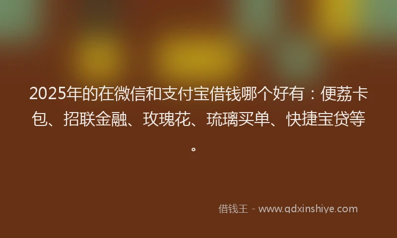 2025年的在微信和支付宝借钱哪个好有：便荔卡包、招联金融、玫瑰花、琉璃买单、快捷宝贷等。