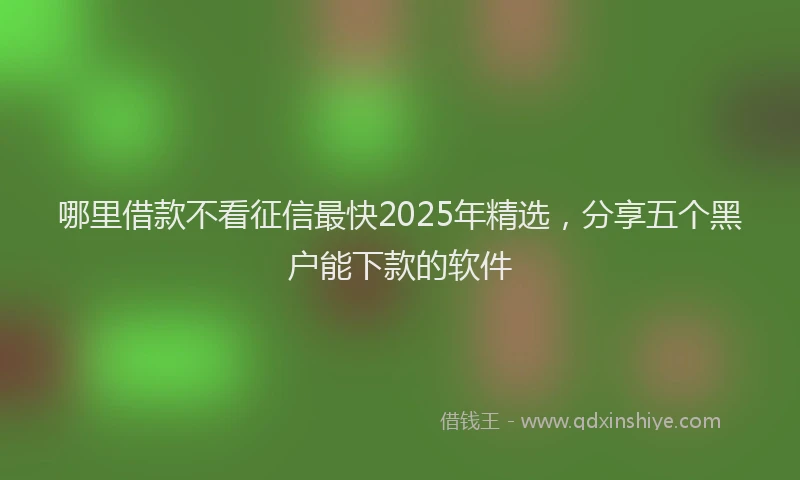 哪里借款不看征信最快2025年精选，分享五个黑户能下款的软件