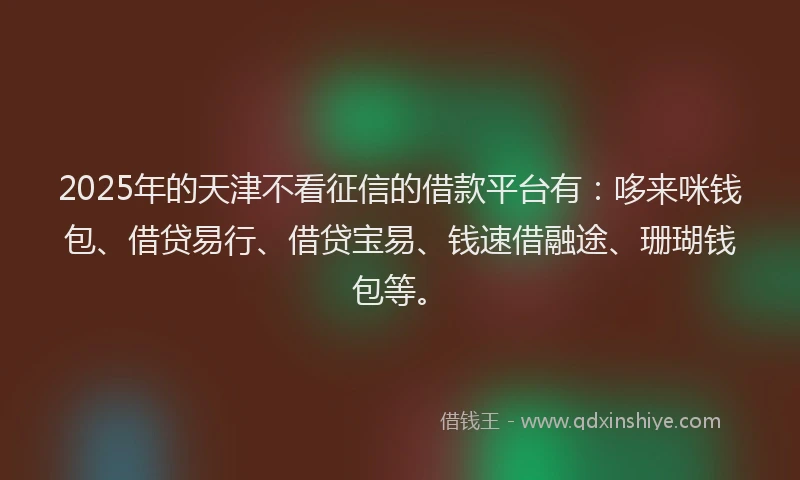 2025年的天津不看征信的借款平台有：哆来咪钱包、借贷易行、借贷宝易、钱速借融途、珊瑚钱包等。