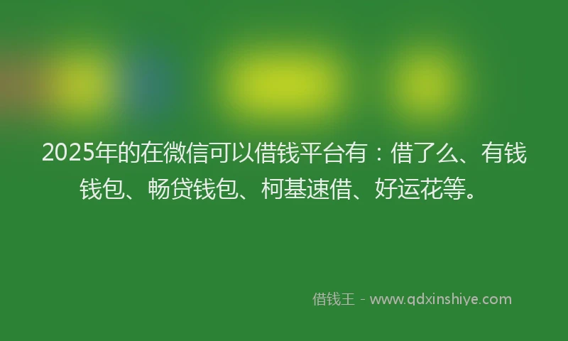 2025年的在微信可以借钱平台有：借了么、有钱钱包、畅贷钱包、柯基速借、好运花等。