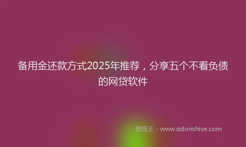 备用金还款方式2025年推荐，分享五个不看负债的网贷软件