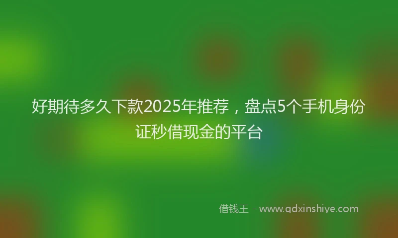 好期待多久下款2025年推荐，盘点5个手机身份证秒借现金的平台