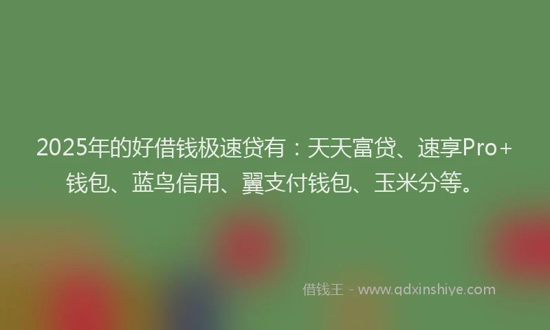2025年的好借钱极速贷有：天天富贷、速享Pro+钱包、蓝鸟信用、翼支付钱包、玉米分等。