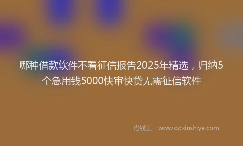哪种借款软件不看征信报告2025年精选，归纳5个急用钱5000快审快贷无需征信软件