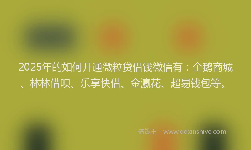 2025年的如何开通微粒贷借钱微信有：企鹅商城、林林借呗、乐享快借、金瀛花、超易钱包等。