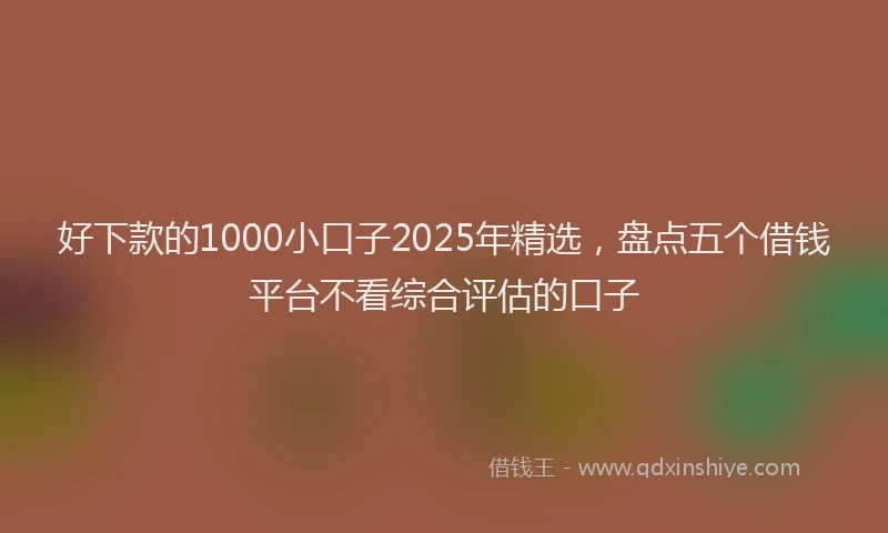 好下款的1000小口子2025年精选，盘点五个借钱平台不看综合评估的口子