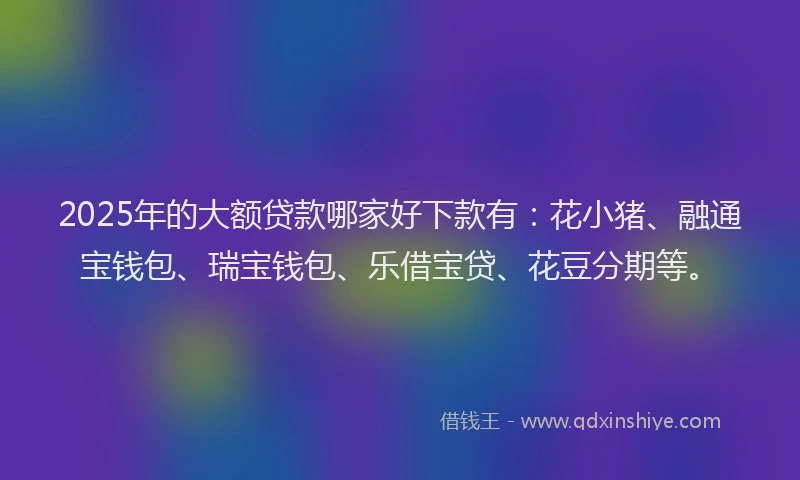 2025年的大额贷款哪家好下款有：花小猪、融通宝钱包、瑞宝钱包、乐借宝贷、花豆分期等。