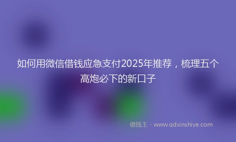 如何用微信借钱应急支付2025年推荐，梳理五个高炮必下的新口子