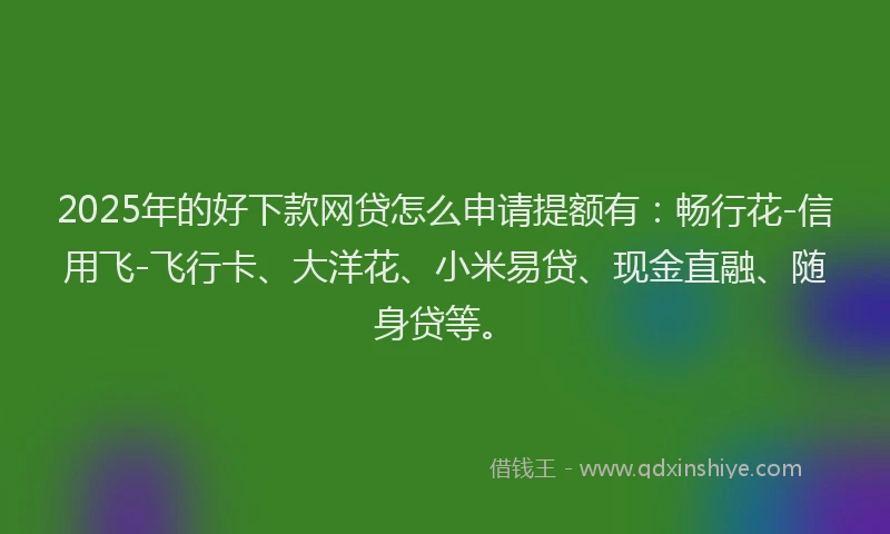 2025年的好下款网贷怎么申请提额有：畅行花-信用飞-飞行卡、大洋花、小米易贷、现金直融、随身贷等。