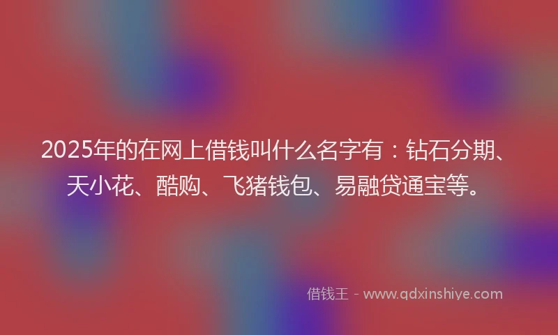 2025年的在网上借钱叫什么名字有：钻石分期、天小花、酷购、飞猪钱包、易融贷通宝等。