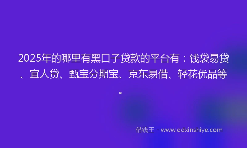 2025年的哪里有黑口子贷款的平台有：钱袋易贷、宜人贷、甄宝分期宝、京东易借、轻花优品等。
