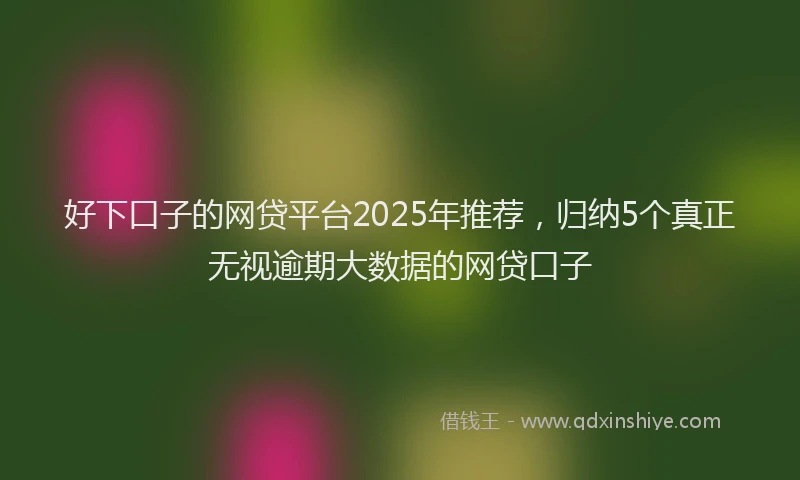 好下口子的网贷平台2025年推荐，归纳5个真正无视逾期大数据的网贷口子