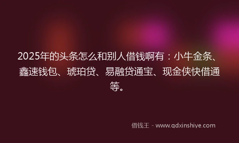 2025年的头条怎么和别人借钱啊有：小牛金条、鑫速钱包、琥珀贷、易融贷通宝、现金侠快借通等。