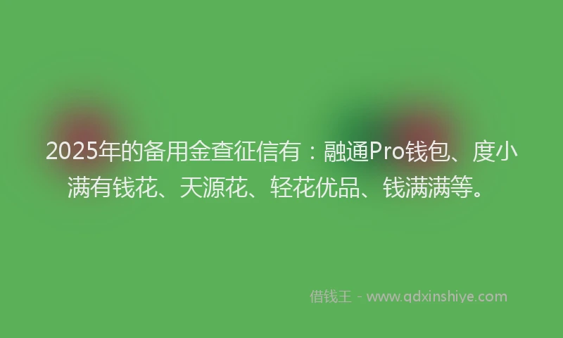 2025年的备用金查征信有：融通Pro钱包、度小满有钱花、天源花、轻花优品、钱满满等。
