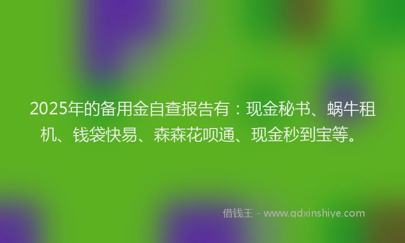 2025年的备用金自查报告有：现金秘书、蜗牛租机、钱袋快易、森森花呗通、现金秒到宝等。